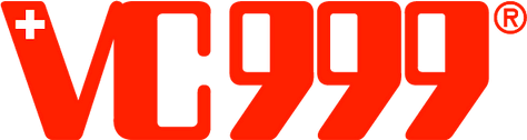 bdvc999.net Logo